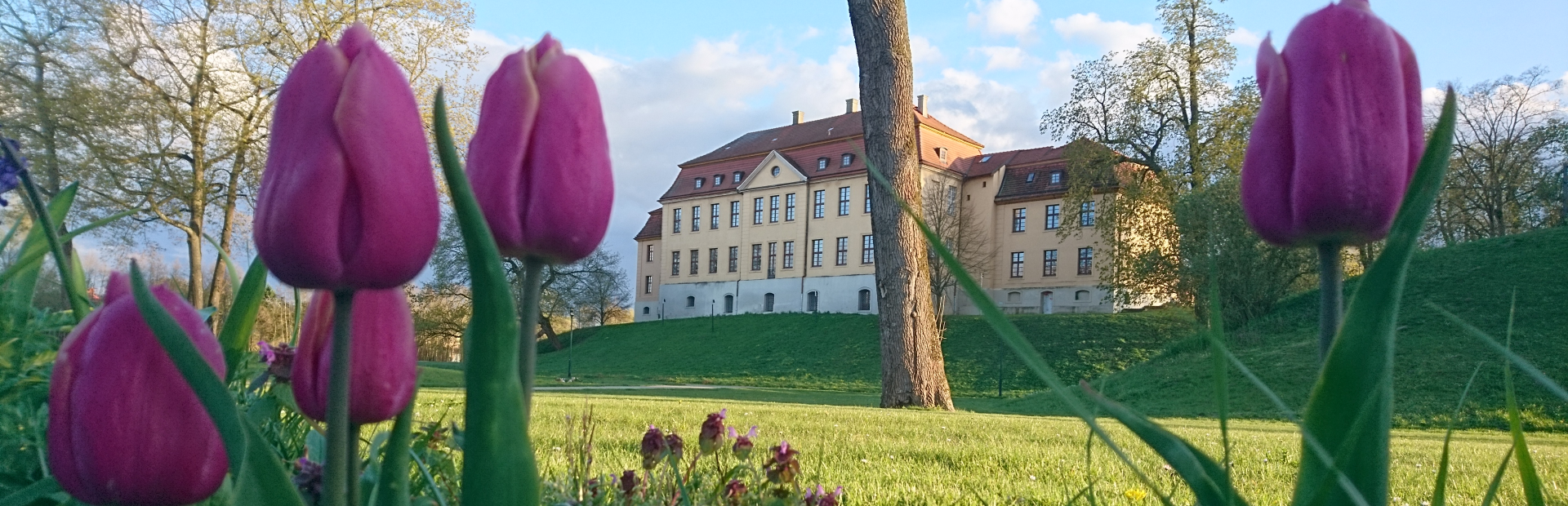 Banner Frühling Schloss 2021- 2