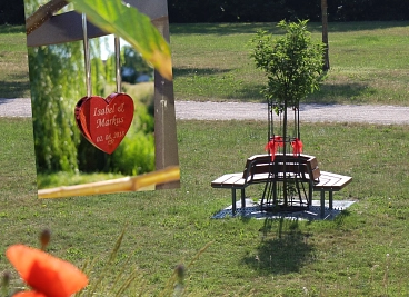 Baumschutzgitter zur Anbringung von Liebesschlössern im Schlossgarten